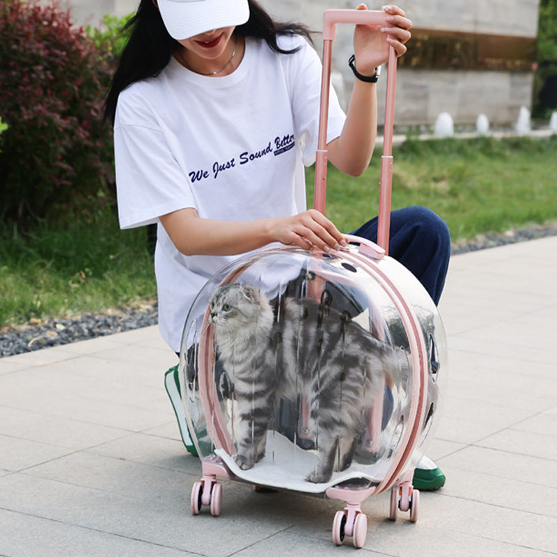 portable-transparent-trolley-case-cat-bag