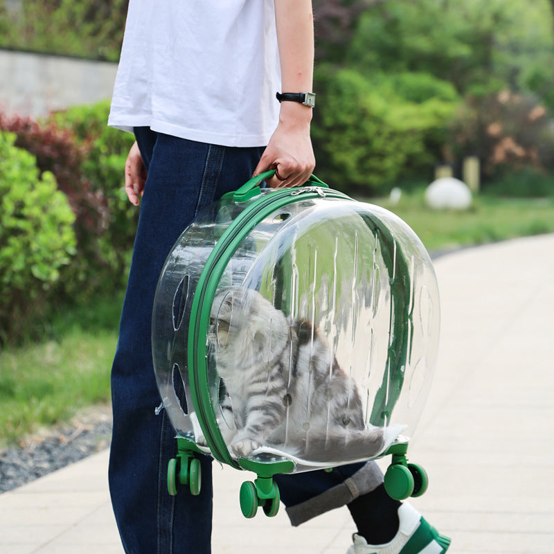 portable-transparent-trolley-case-cat-bag