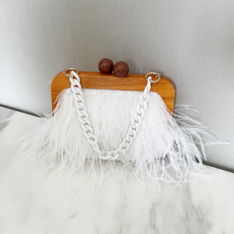 womens fashion acrylic chain dinner bag