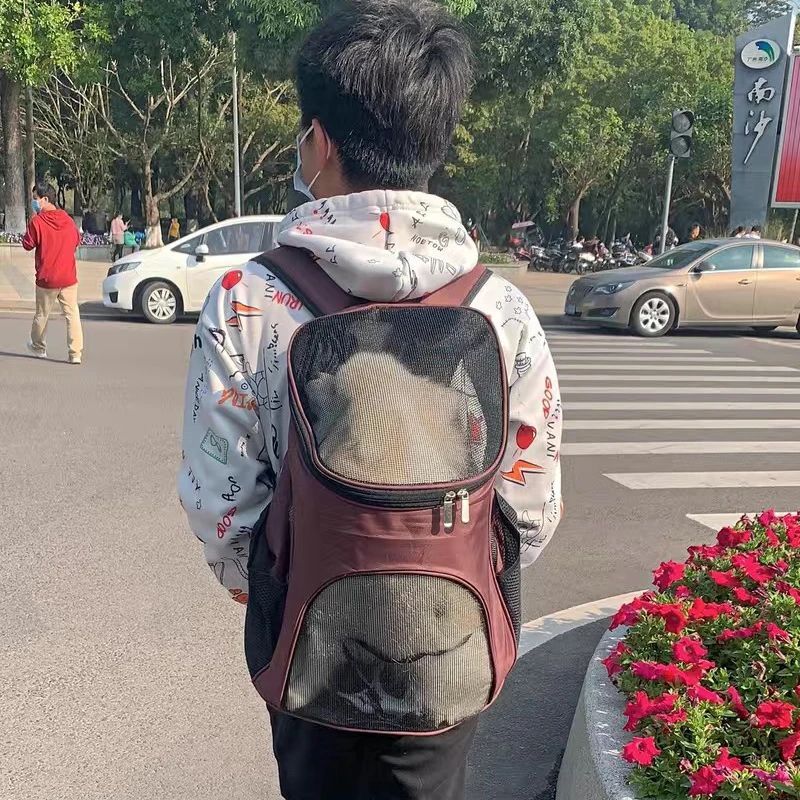 breathable puppy dog carrier backpack portable pet bags for small dogs chihuahua schnauzer pug outdoor mascotas carring supplies