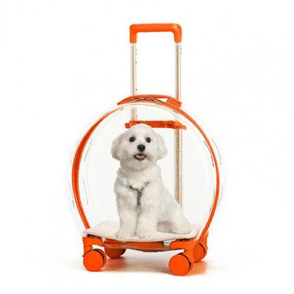 transparent-poop-pet-dog-trolley-box