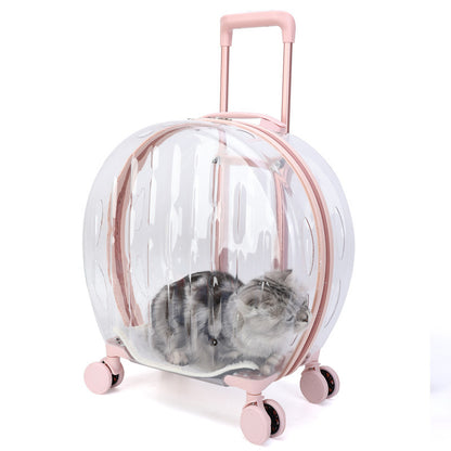 portable-transparent-trolley-case-cat-bag