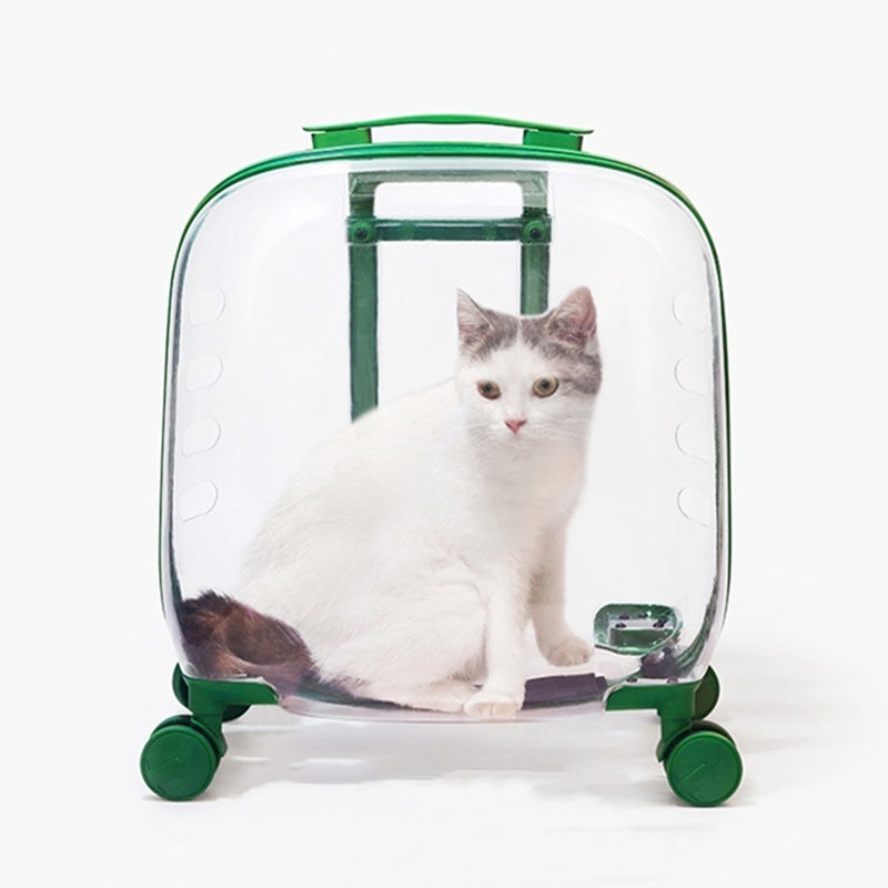 cat-bag-portable-pet-trolley-bag-space-capsule-transparent-cat-luggage