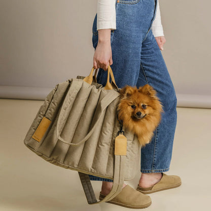 pet dog cat bag carrier light waterproof dog out portable handbag pet accessories fashion dog bag