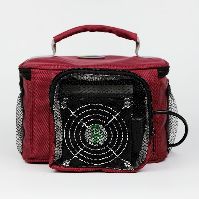 portable travel outing car semiconductor refrigeration pack