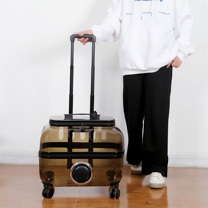 cat-bag-portable-pet-trolley-bag-space-capsule-transparent-cat-luggage