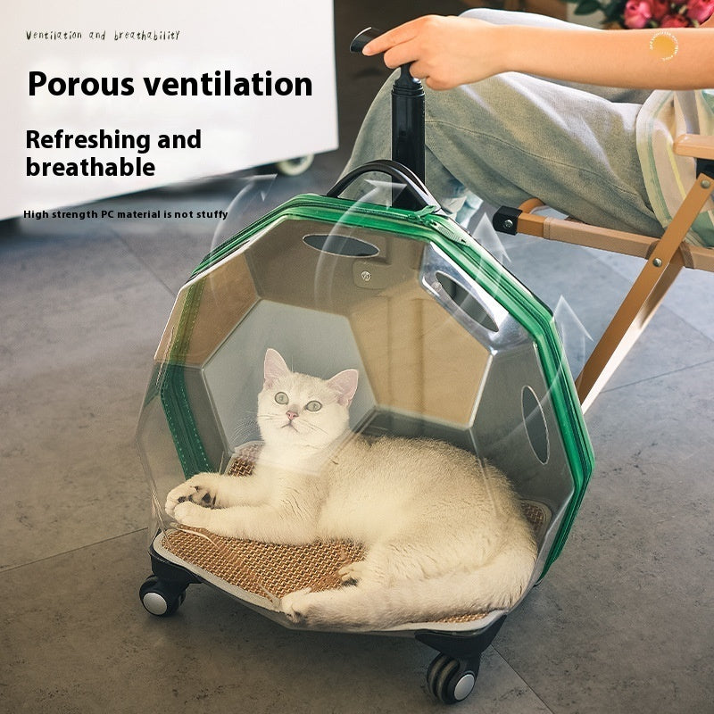 pet-trolley-portable-cat-luggage-transparent-large-dog-suitcase-trolley-space-capsule