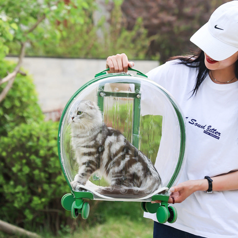 portable-transparent-trolley-case-cat-bag