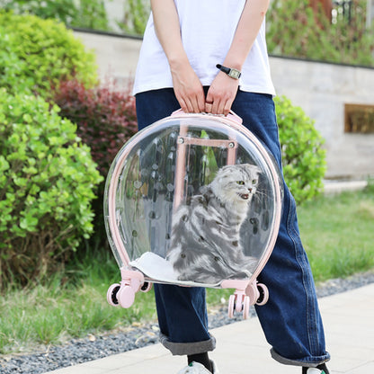 portable-transparent-trolley-case-cat-bag