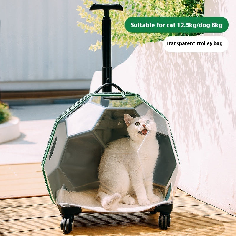 pet-trolley-portable-cat-luggage-transparent-large-dog-suitcase-trolley-space-capsule