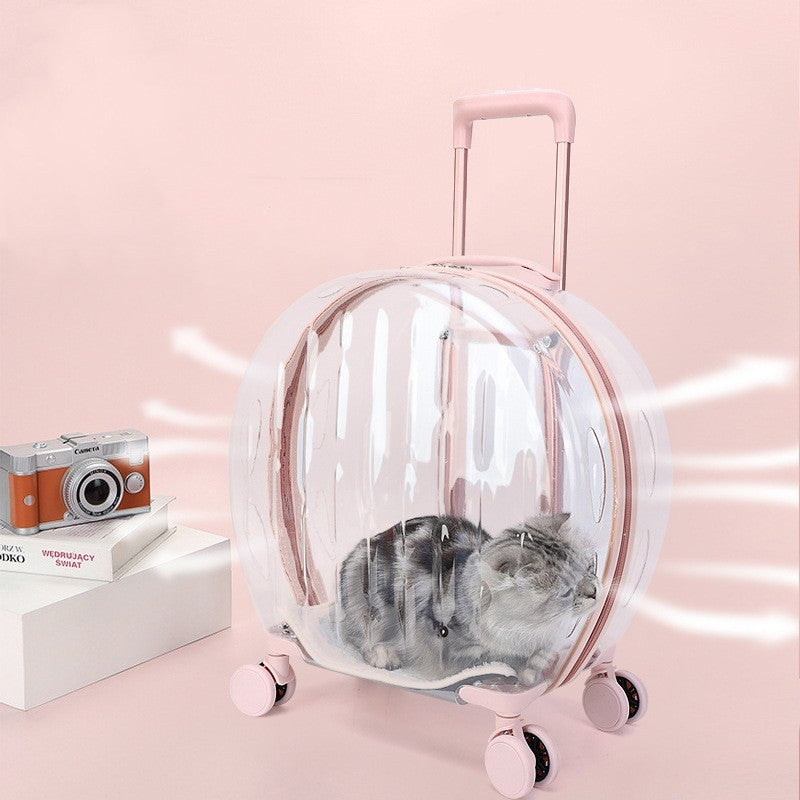 portable-transparent-trolley-case-cat-bag