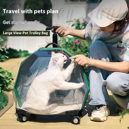 pet-trolley-portable-cat-luggage-transparent-large-dog-suitcase-trolley-space-capsule